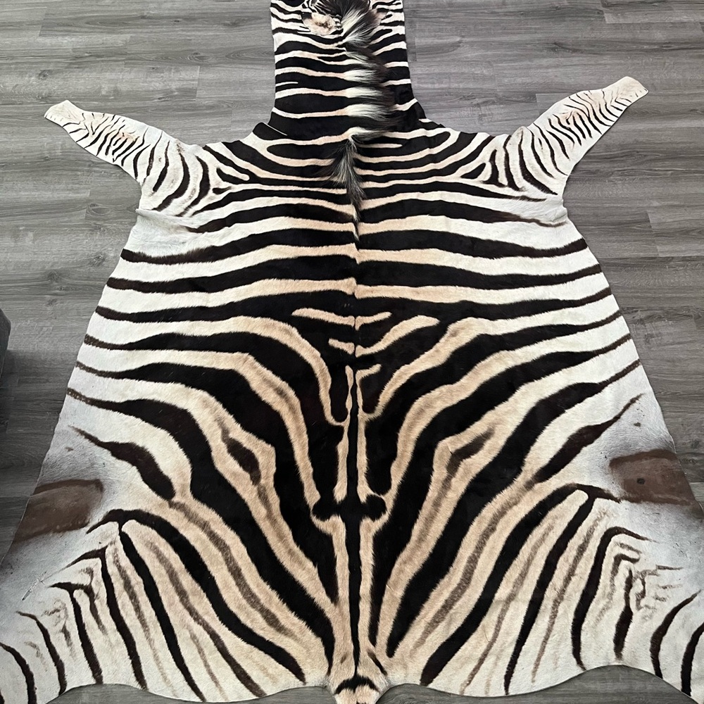 Real zebra carpet